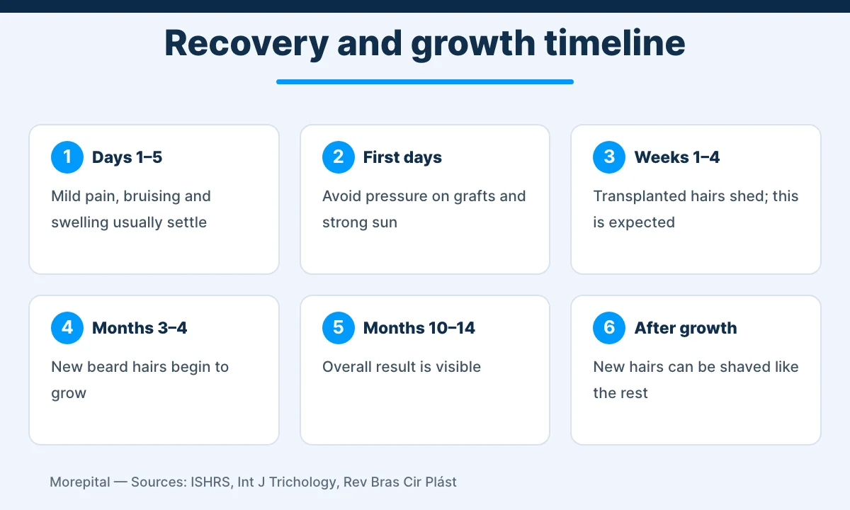 Beard transplant in Turkey recovery and hair growth timeline infographic