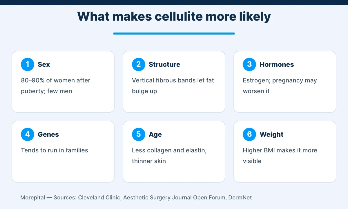 Cellulite infographic: six factors that make cellulite more likely