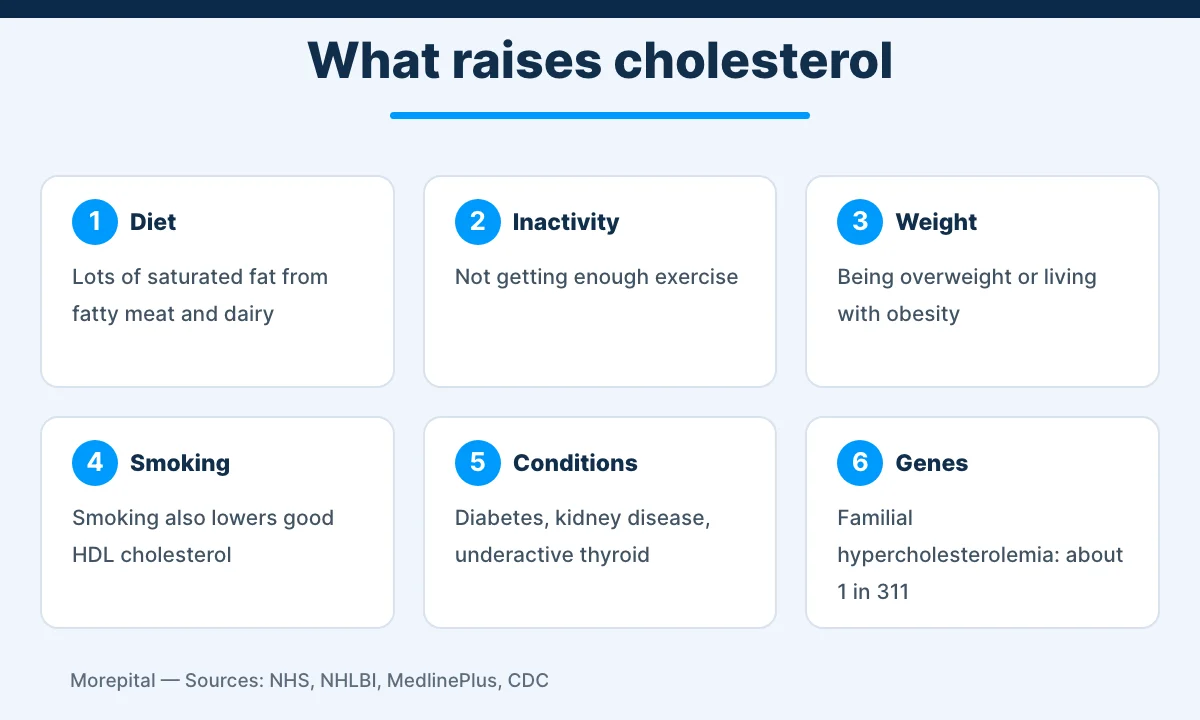 Infographic of six causes and risk factors of high cholesterol: diet, inactivity, weight, smoking, medical conditions and genes