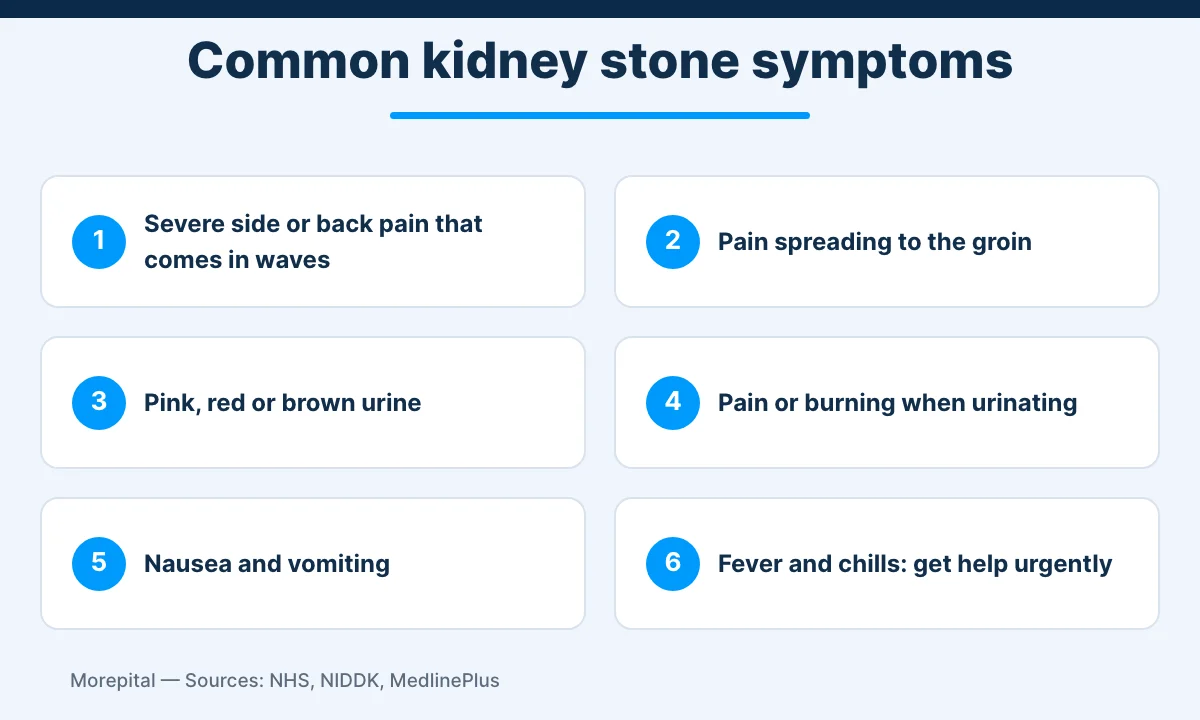 Infographic of six common kidney stones symptoms, from flank pain to fever