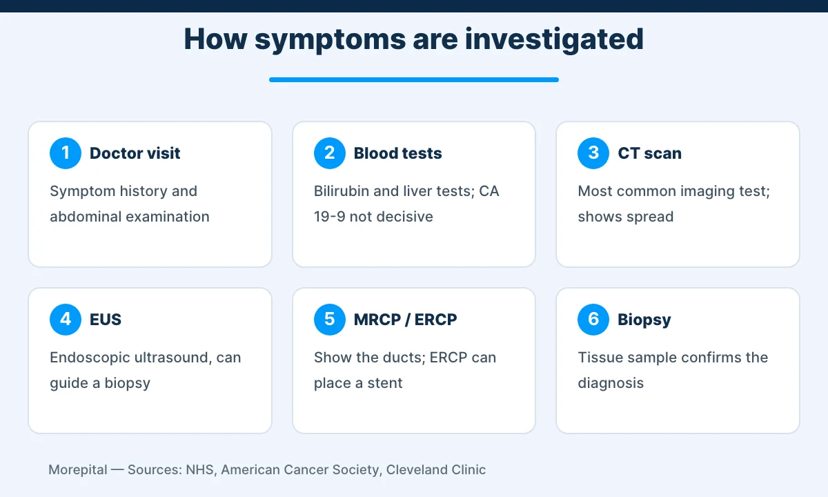 Infographic of the tests used to investigate pancreatic cancer symptoms: blood tests, CT, EUS, MRCP, ERCP and biopsy