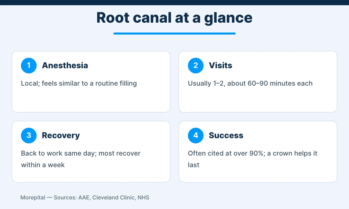 Infographic summarizing root canal treatment: local anesthesia, one to two visits of 60 to 90 minutes, same-day return to work and success rates often cited above 90 percent