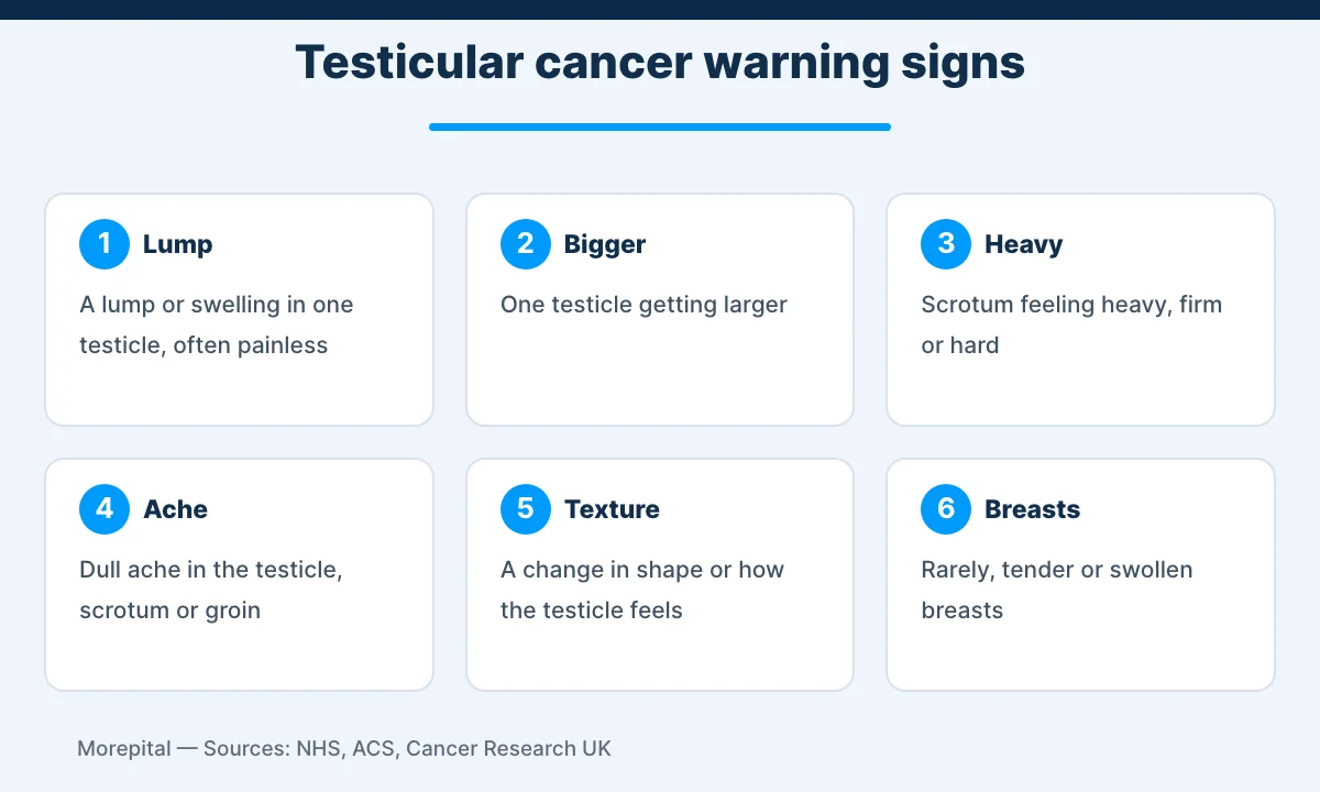 Infographic of six testicular cancer symptoms: lump, enlarged testicle, heavy scrotum, ache, texture change and breast tenderness